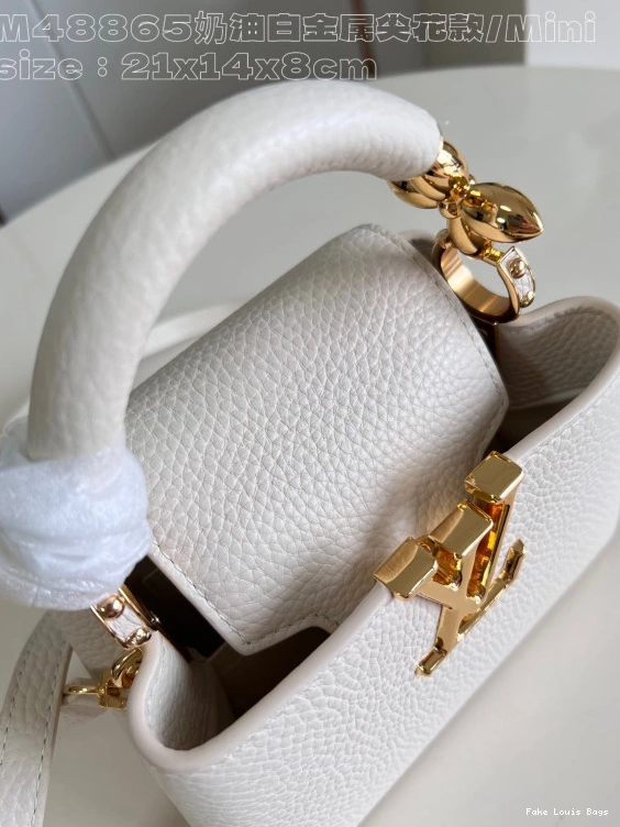 Fake Louis Bags CAPUCINES MINI-21*14*8CM VUITTON LOUIS 0708